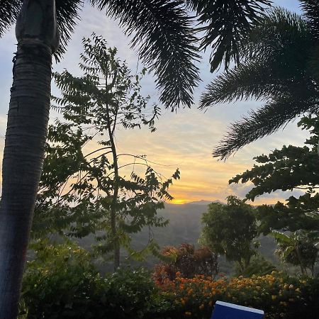 Hawk'S Nest Bed & Breakfast La Laguna de San Carlos エクステリア 写真