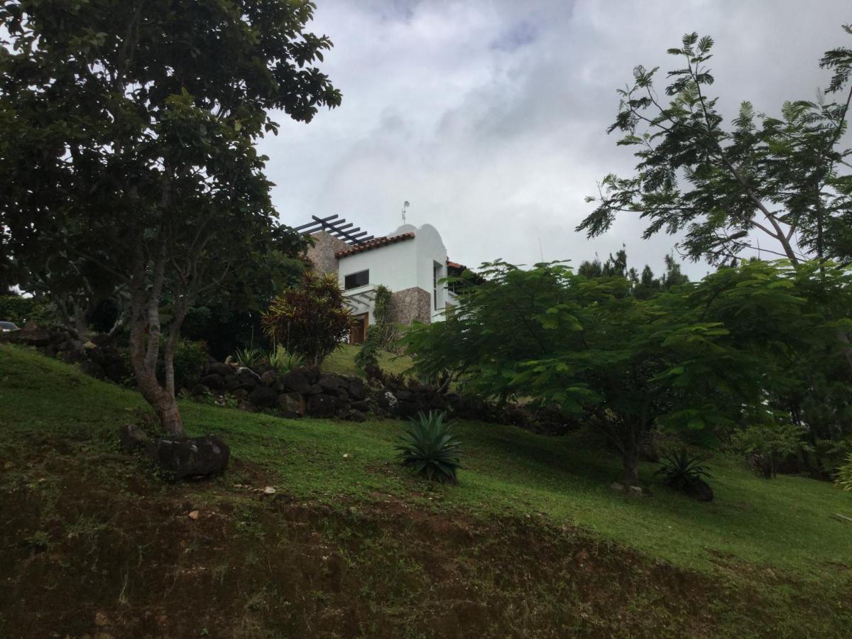 Hawk'S Nest Bed & Breakfast La Laguna de San Carlos エクステリア 写真