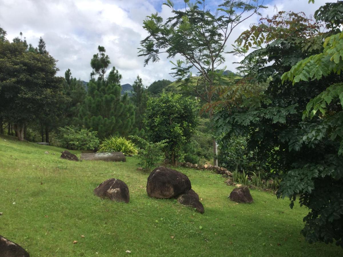 Hawk'S Nest Bed & Breakfast La Laguna de San Carlos エクステリア 写真
