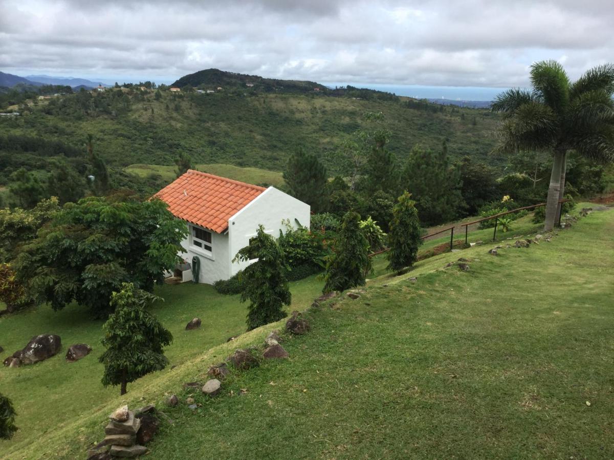 Hawk'S Nest Bed & Breakfast La Laguna de San Carlos エクステリア 写真