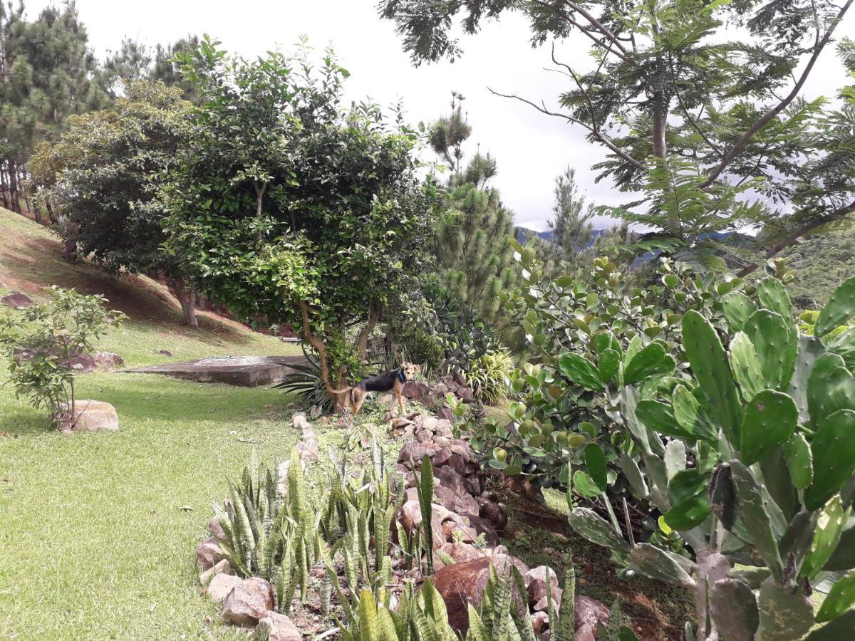 Hawk'S Nest Bed & Breakfast La Laguna de San Carlos エクステリア 写真
