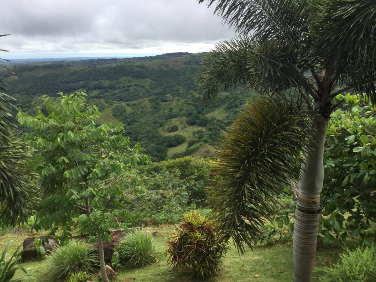 Hawk'S Nest Bed & Breakfast La Laguna de San Carlos エクステリア 写真