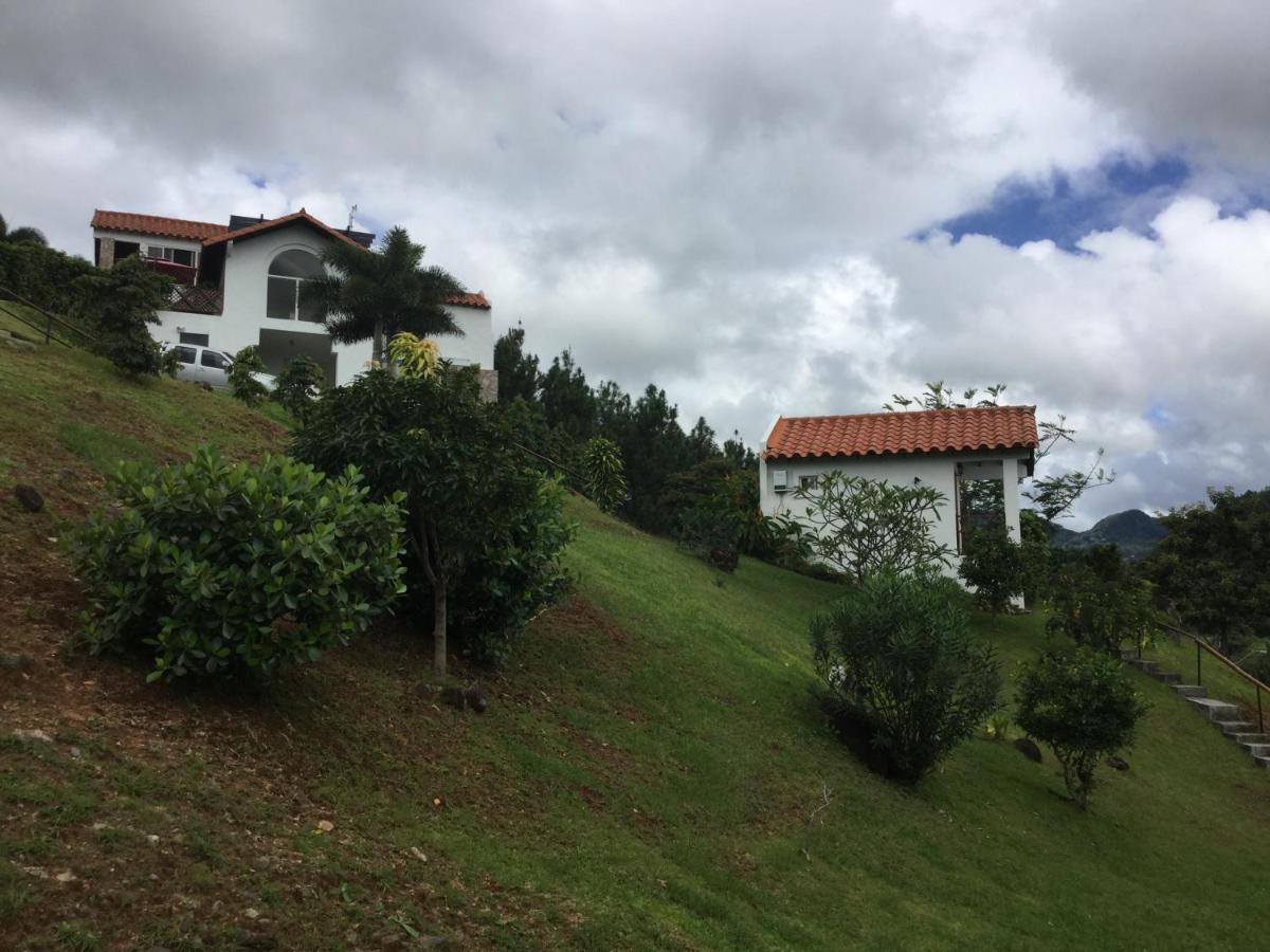 Hawk'S Nest Bed & Breakfast La Laguna de San Carlos エクステリア 写真