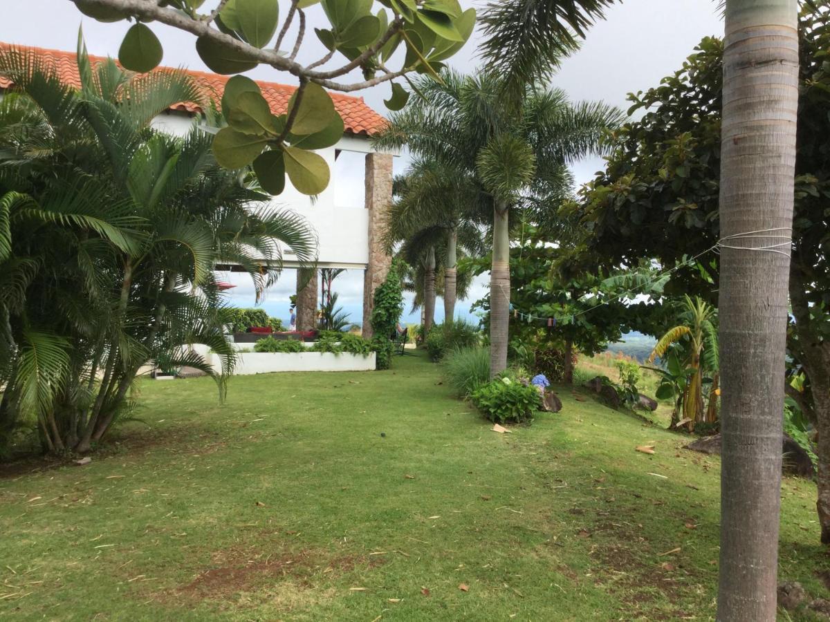 Hawk'S Nest Bed & Breakfast La Laguna de San Carlos エクステリア 写真