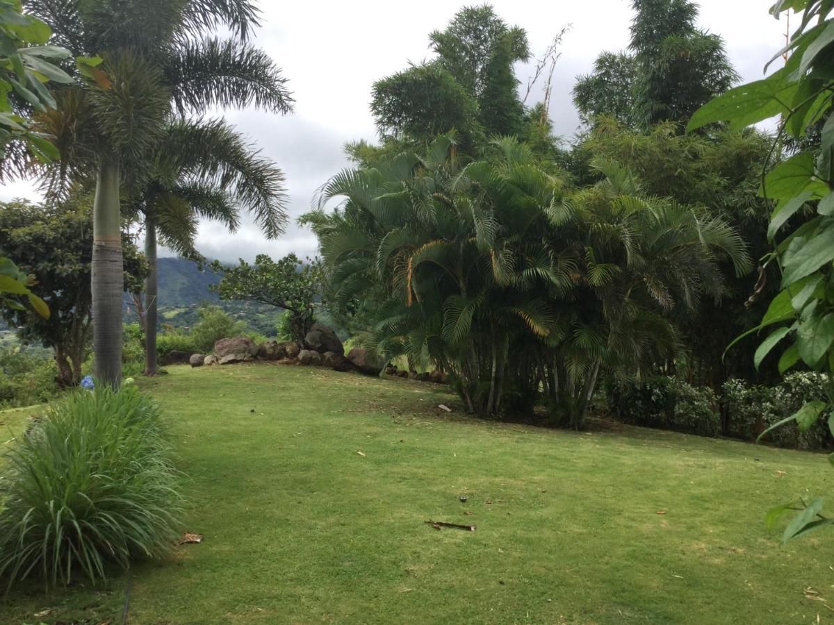 Hawk'S Nest Bed & Breakfast La Laguna de San Carlos エクステリア 写真