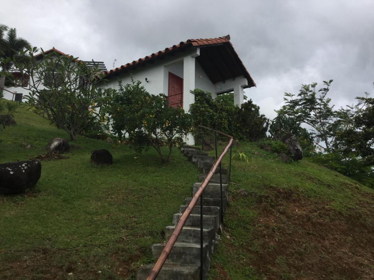 Hawk'S Nest Bed & Breakfast La Laguna de San Carlos エクステリア 写真