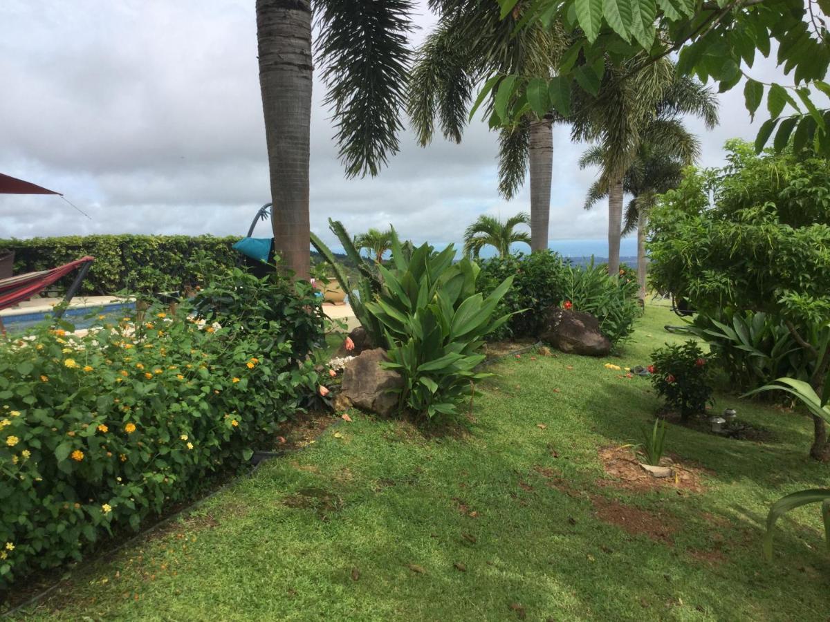Hawk'S Nest Bed & Breakfast La Laguna de San Carlos エクステリア 写真