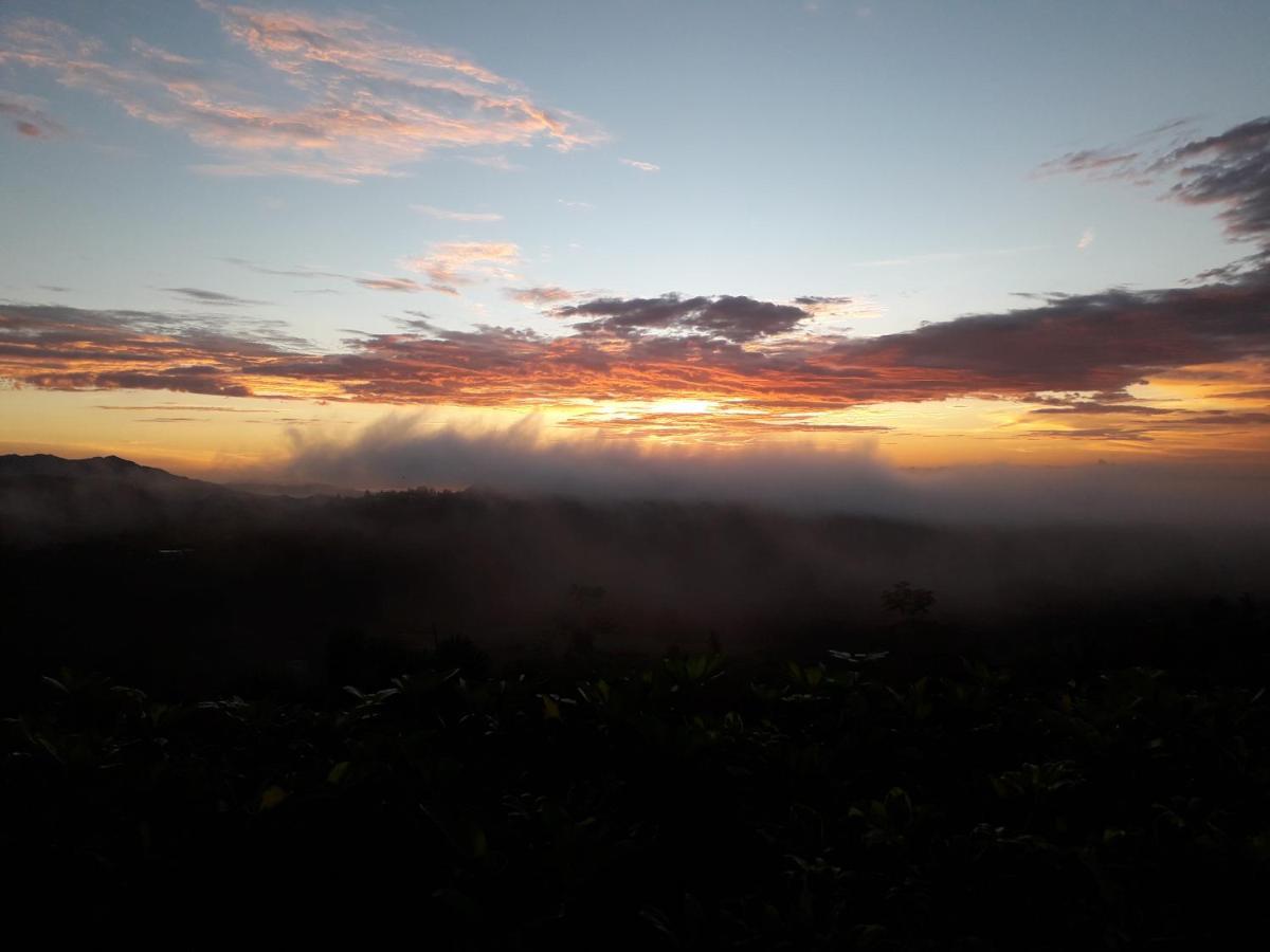 Hawk'S Nest Bed & Breakfast La Laguna de San Carlos エクステリア 写真