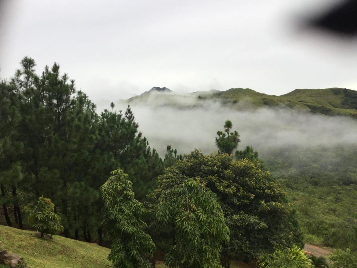 Hawk'S Nest Bed & Breakfast La Laguna de San Carlos エクステリア 写真