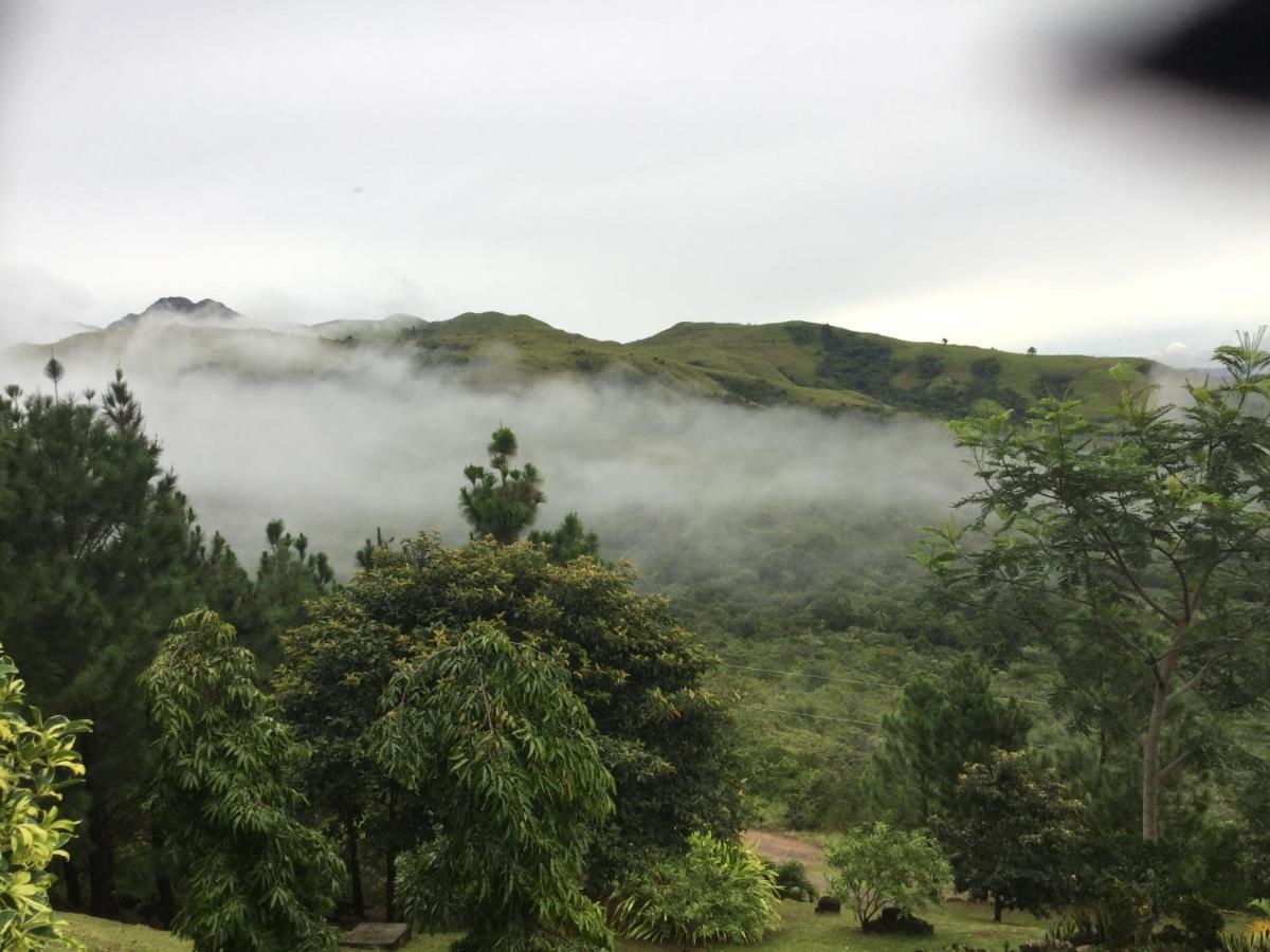Hawk'S Nest Bed & Breakfast La Laguna de San Carlos エクステリア 写真