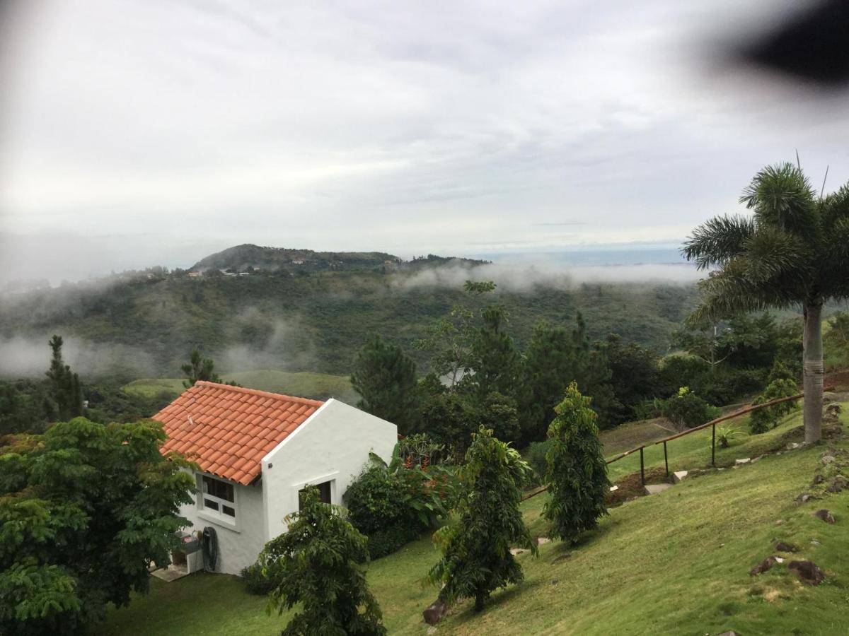 Hawk'S Nest Bed & Breakfast La Laguna de San Carlos エクステリア 写真