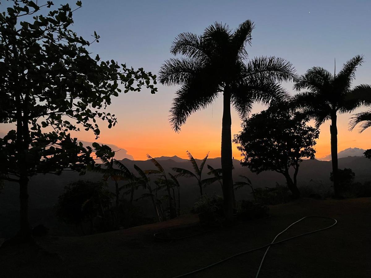 Hawk'S Nest Bed & Breakfast La Laguna de San Carlos エクステリア 写真