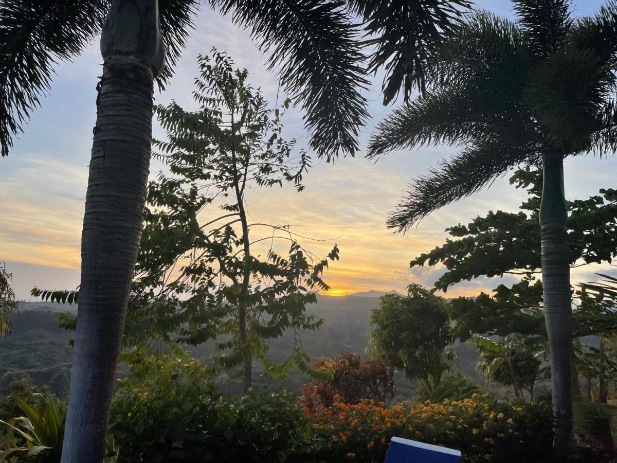 Hawk'S Nest Bed & Breakfast La Laguna de San Carlos エクステリア 写真