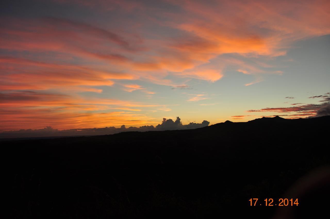 Hawk'S Nest Bed & Breakfast La Laguna de San Carlos エクステリア 写真