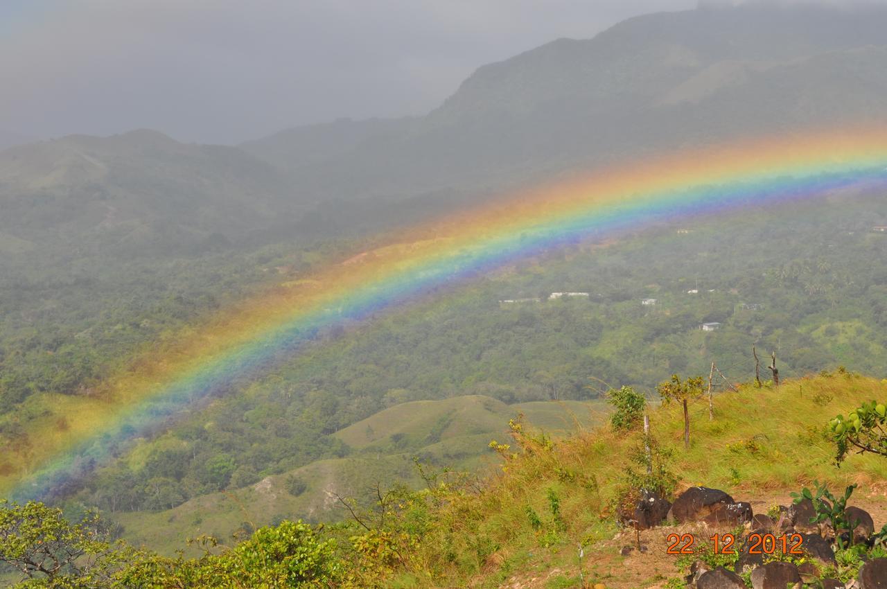 Hawk'S Nest Bed & Breakfast La Laguna de San Carlos エクステリア 写真