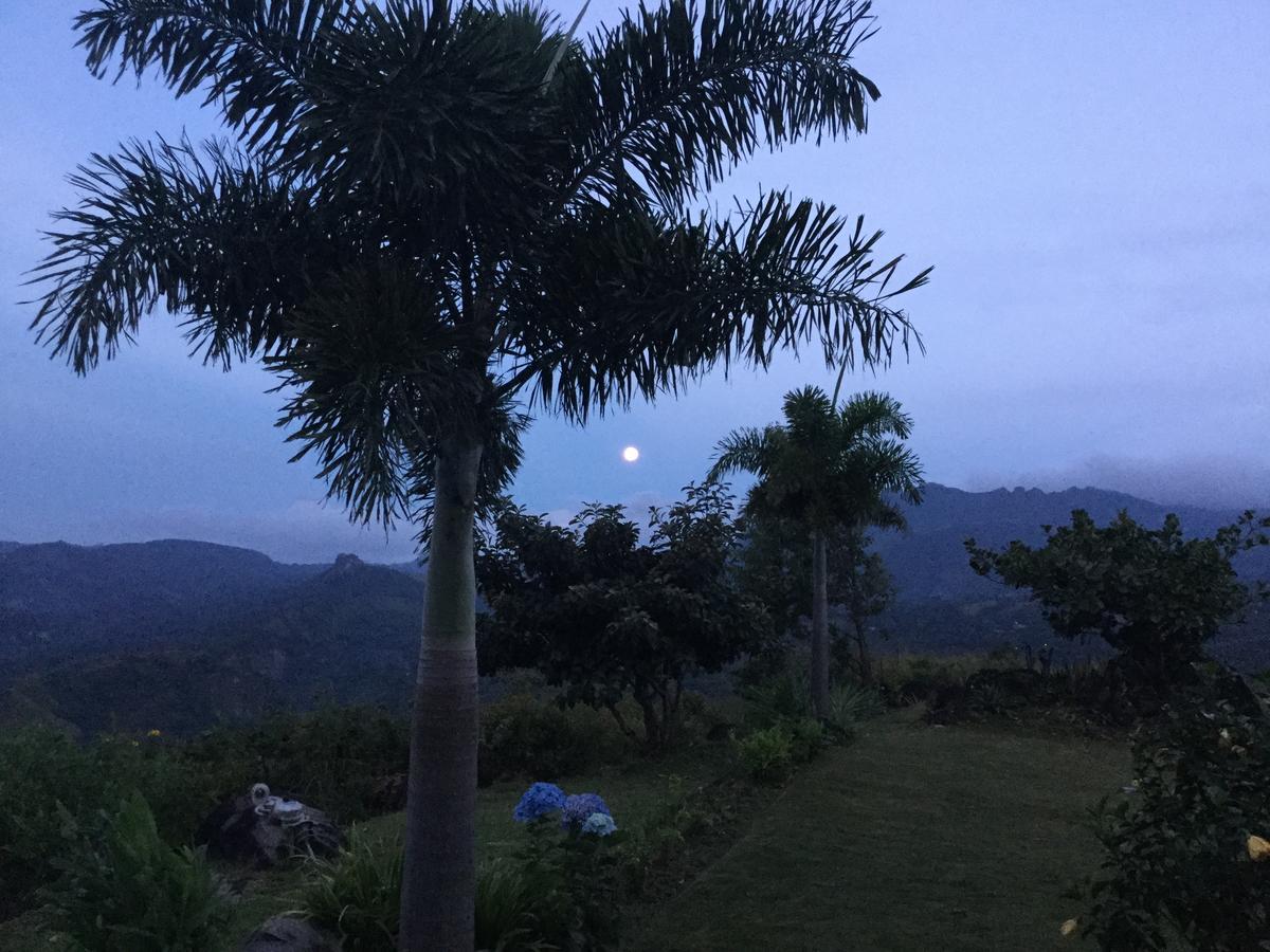 Hawk'S Nest Bed & Breakfast La Laguna de San Carlos エクステリア 写真