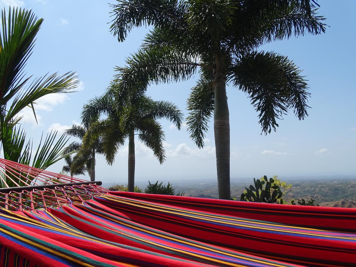 Hawk'S Nest Bed & Breakfast La Laguna de San Carlos エクステリア 写真