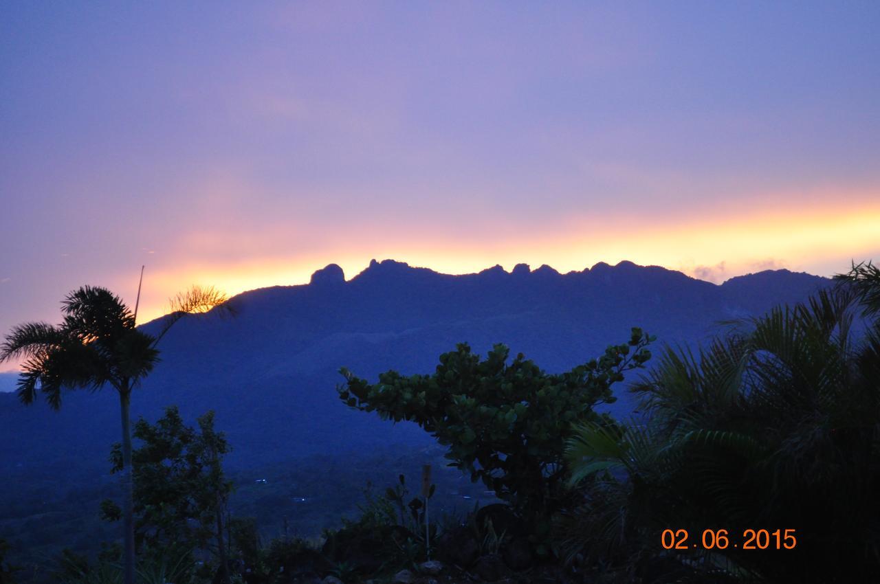 Hawk'S Nest Bed & Breakfast La Laguna de San Carlos エクステリア 写真