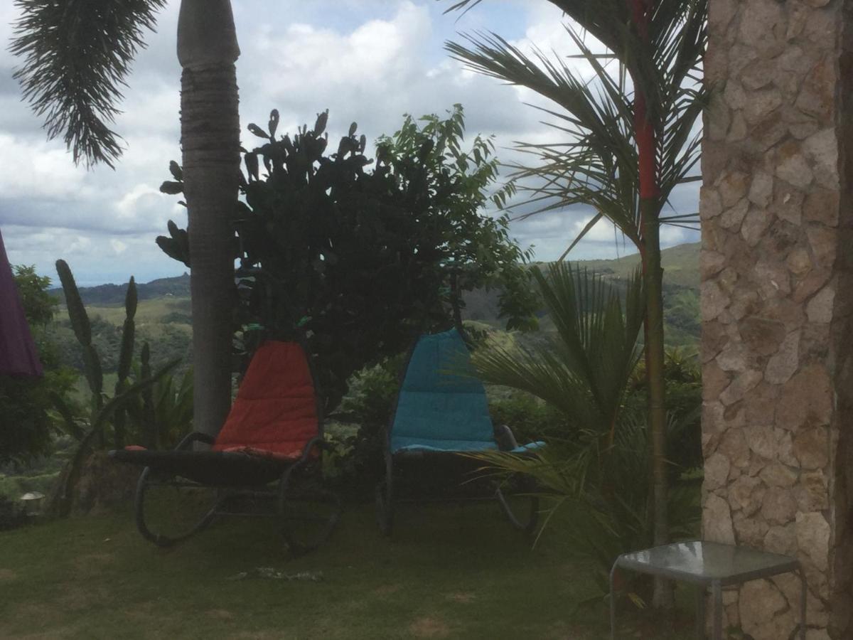 Hawk'S Nest Bed & Breakfast La Laguna de San Carlos エクステリア 写真