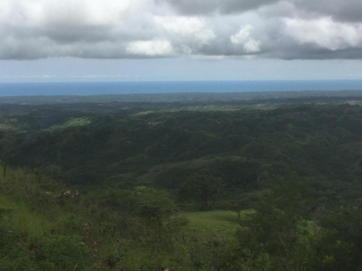 Hawk'S Nest Bed & Breakfast La Laguna de San Carlos エクステリア 写真
