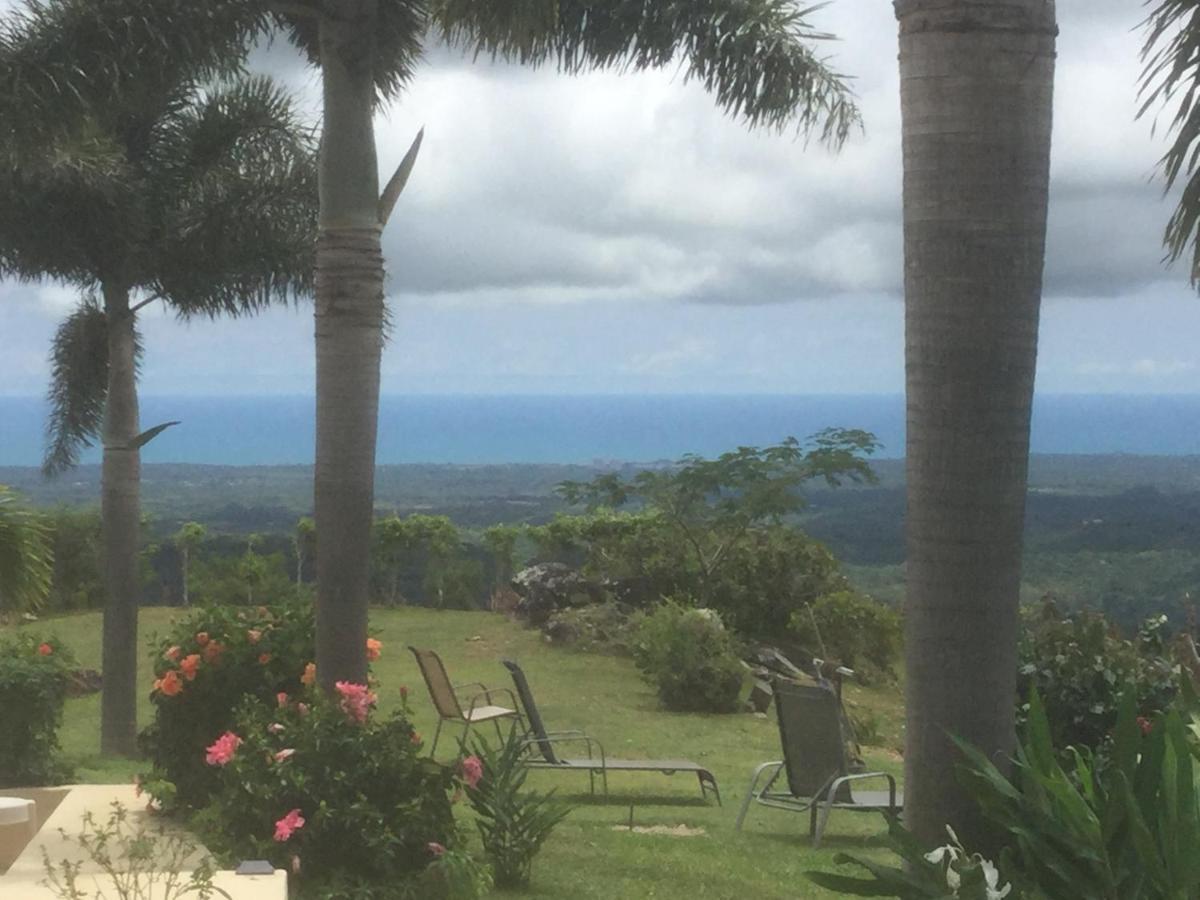 Hawk'S Nest Bed & Breakfast La Laguna de San Carlos エクステリア 写真
