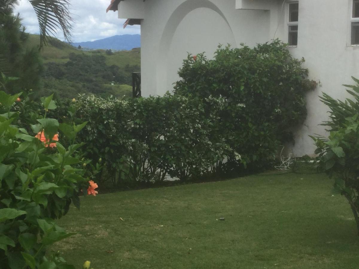 Hawk'S Nest Bed & Breakfast La Laguna de San Carlos エクステリア 写真