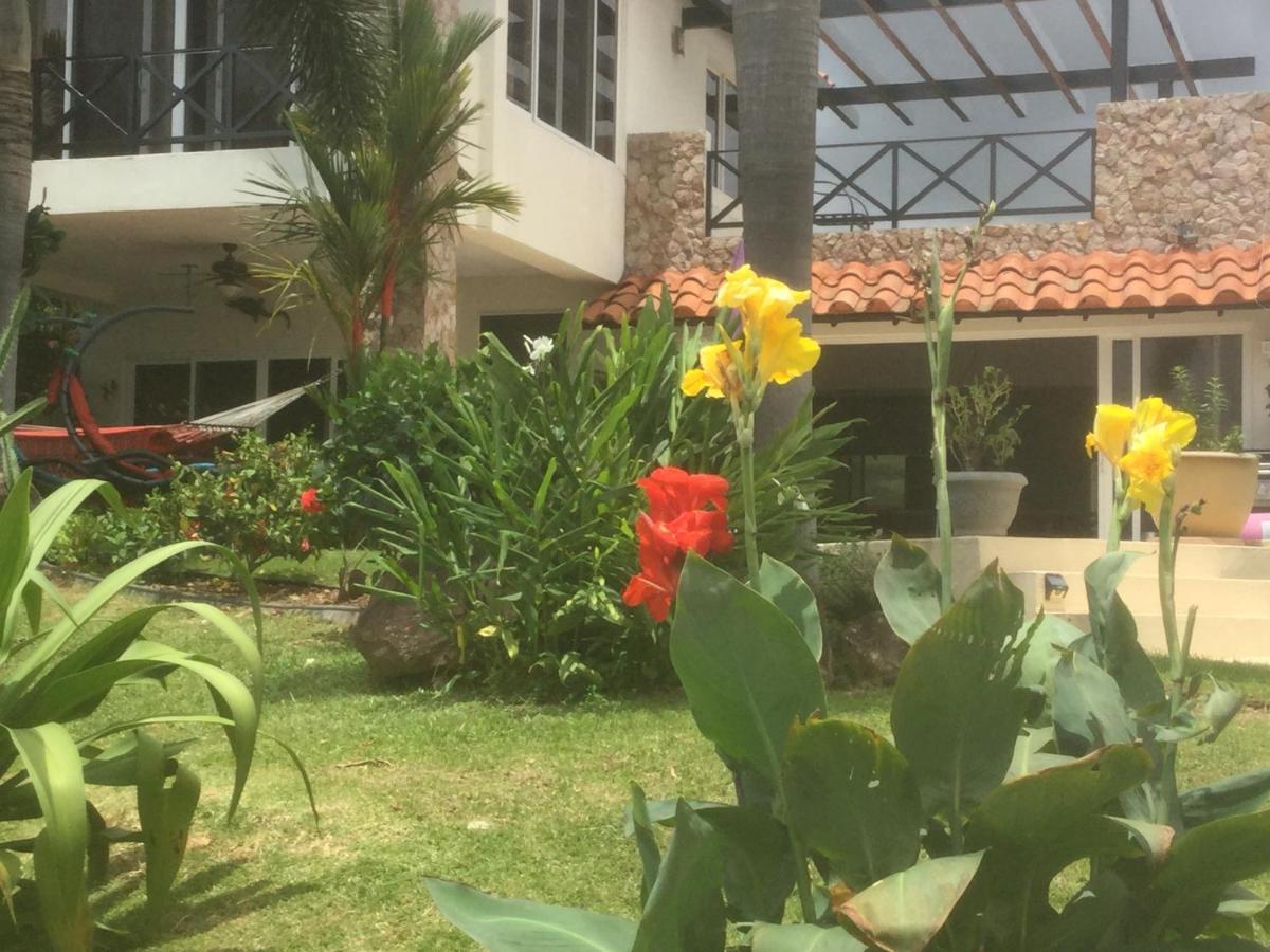 Hawk'S Nest Bed & Breakfast La Laguna de San Carlos エクステリア 写真
