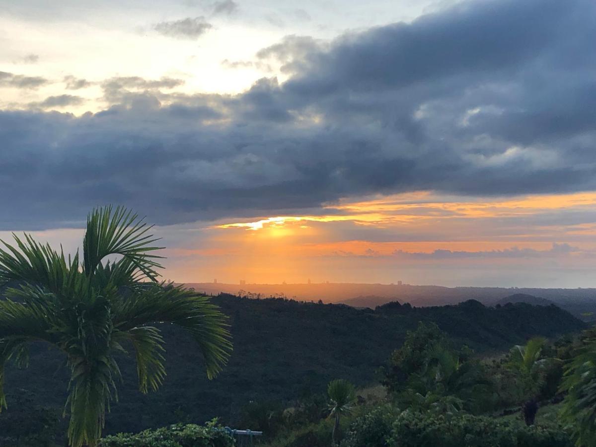 Hawk'S Nest Bed & Breakfast La Laguna de San Carlos エクステリア 写真